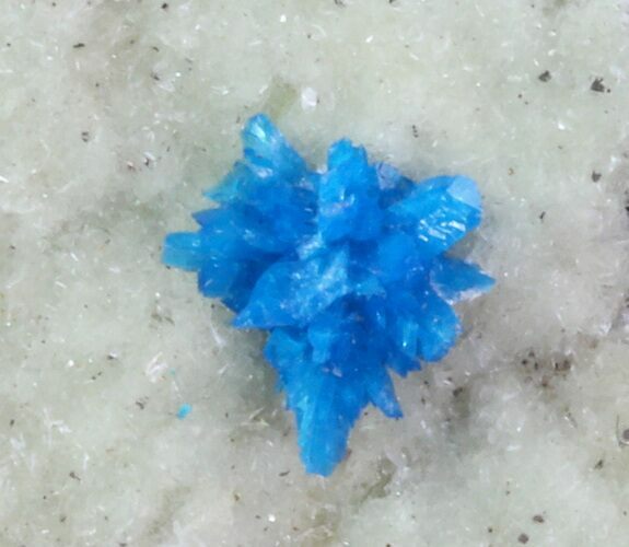 Vibrant Blue Cavansite Cluster on Stilbite - India #67791